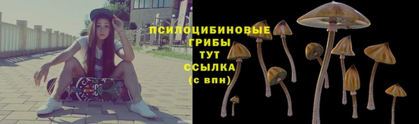 эйфоретик Мегион