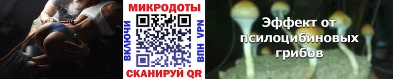 Галлюциногенные грибы мицелий  Елизаветинская 