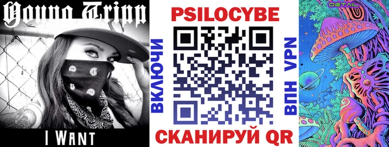 Галлюциногенные грибы Psilocybine cubensis Елизаветинская
